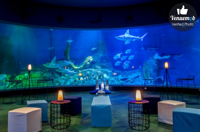 Antarctica Room Of The Melbourne Sea Life Aquarium Antarctica Room Of The Melbourne Sea Life Aquarium